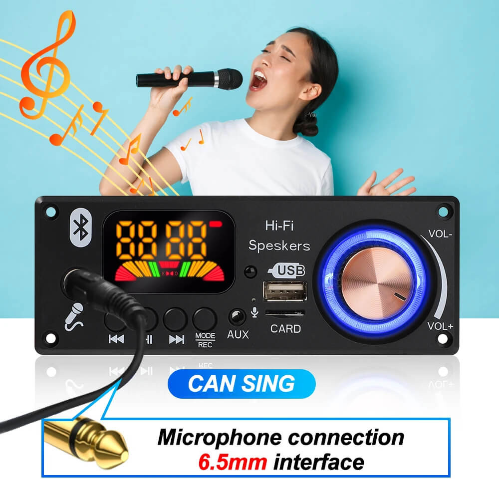 160W Bluetooth 5.1 Amplifier Decoder Board – MP3/USB/TF/FM/AUX – 12V DIY Audio Module with Mic, Remote, Volume Control